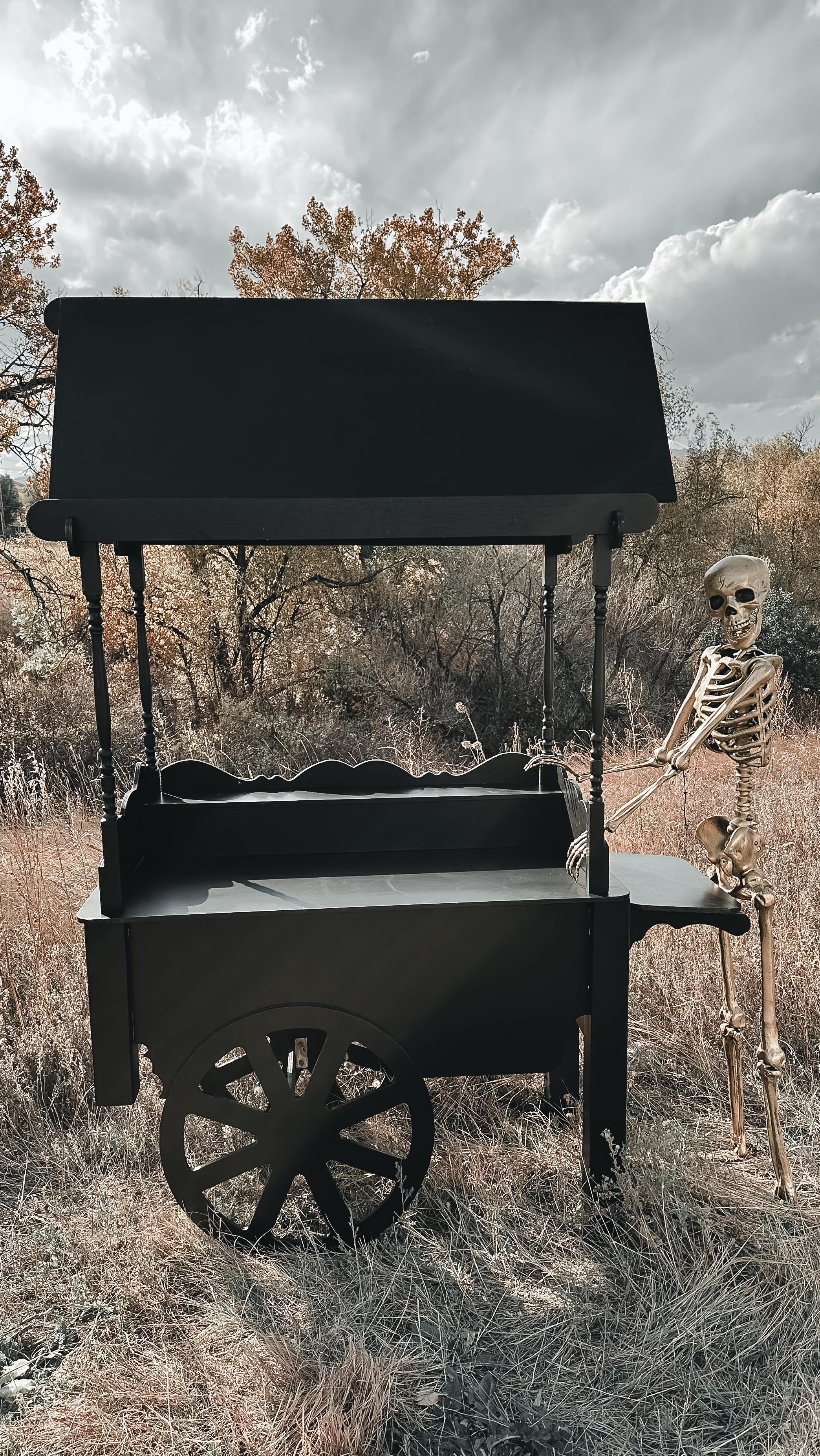 Event setup by The Sweet Cart Denver